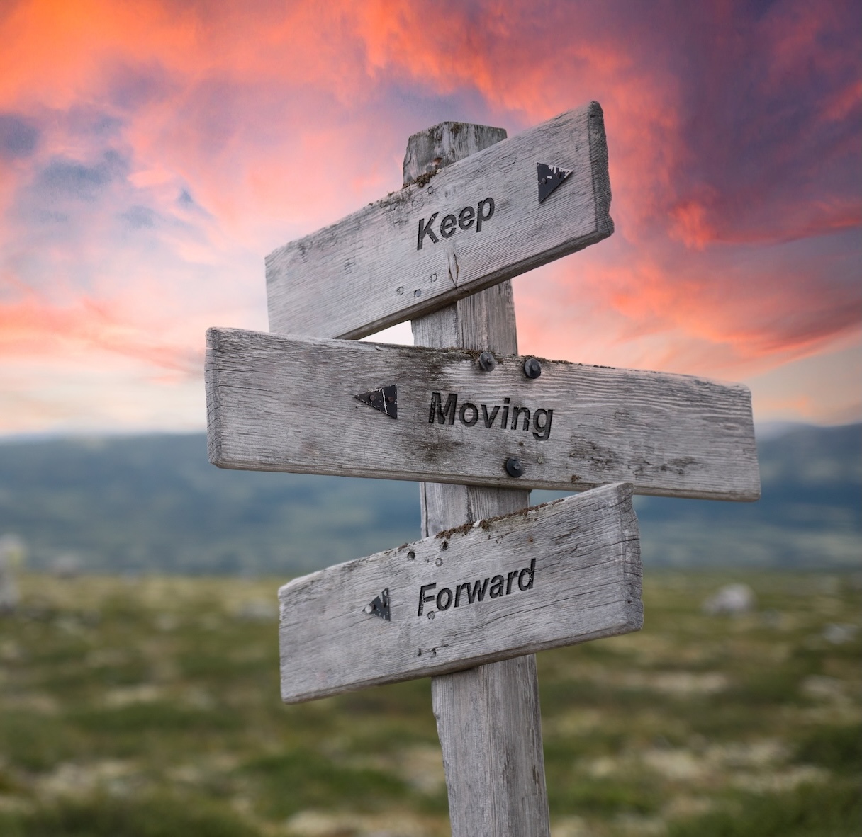 Embark on Your Journey - NYC Uncovered