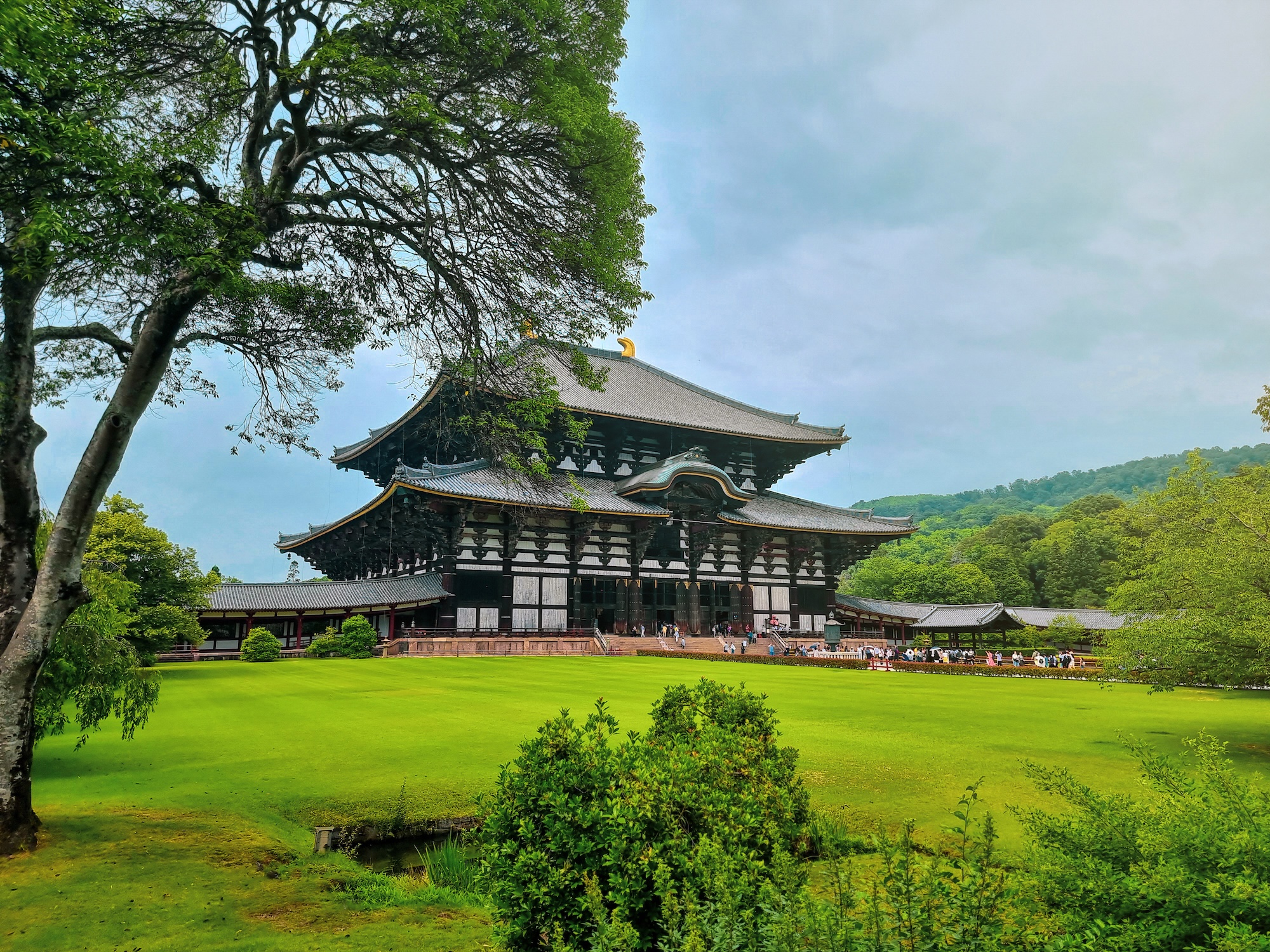 The Great Buddha of Nara Todai-ji Temple - NYC Uncovered - NYC Uncovered